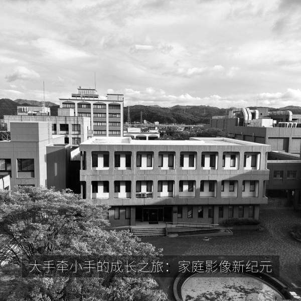大手牵小手的成长之旅：家庭影像新纪元 海报