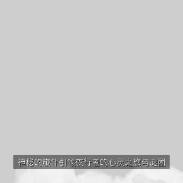 相关推荐 神秘的旅伴引领夜行者的心灵之旅与谜团