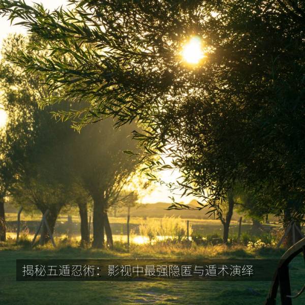 相关推荐 揭秘五遁忍術:影视中最强隐匿与遁术演绎